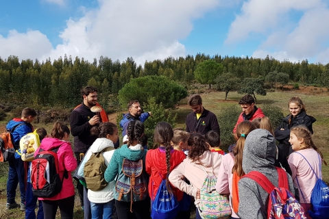 Actividades ambientales