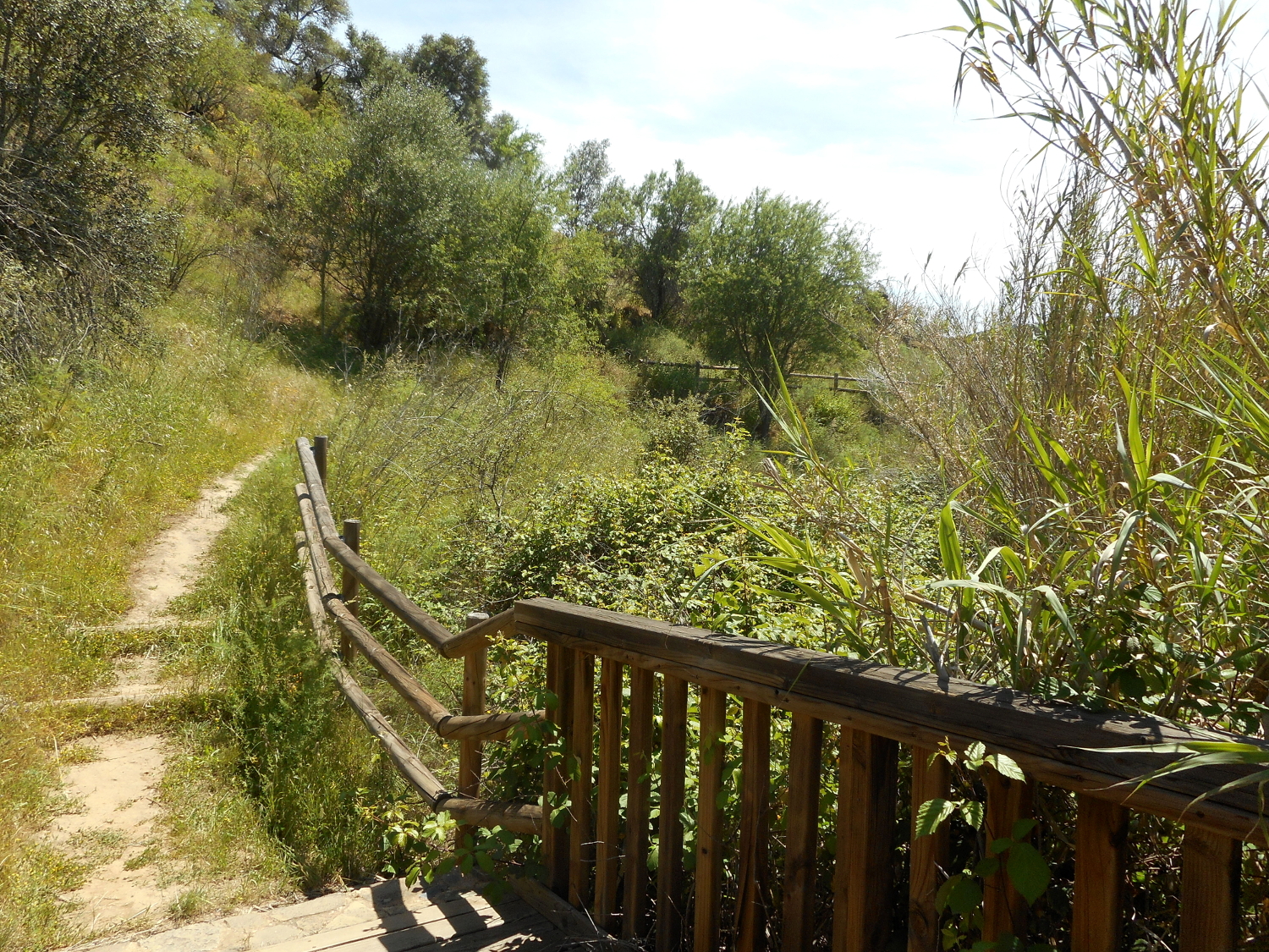 Caminos rurales