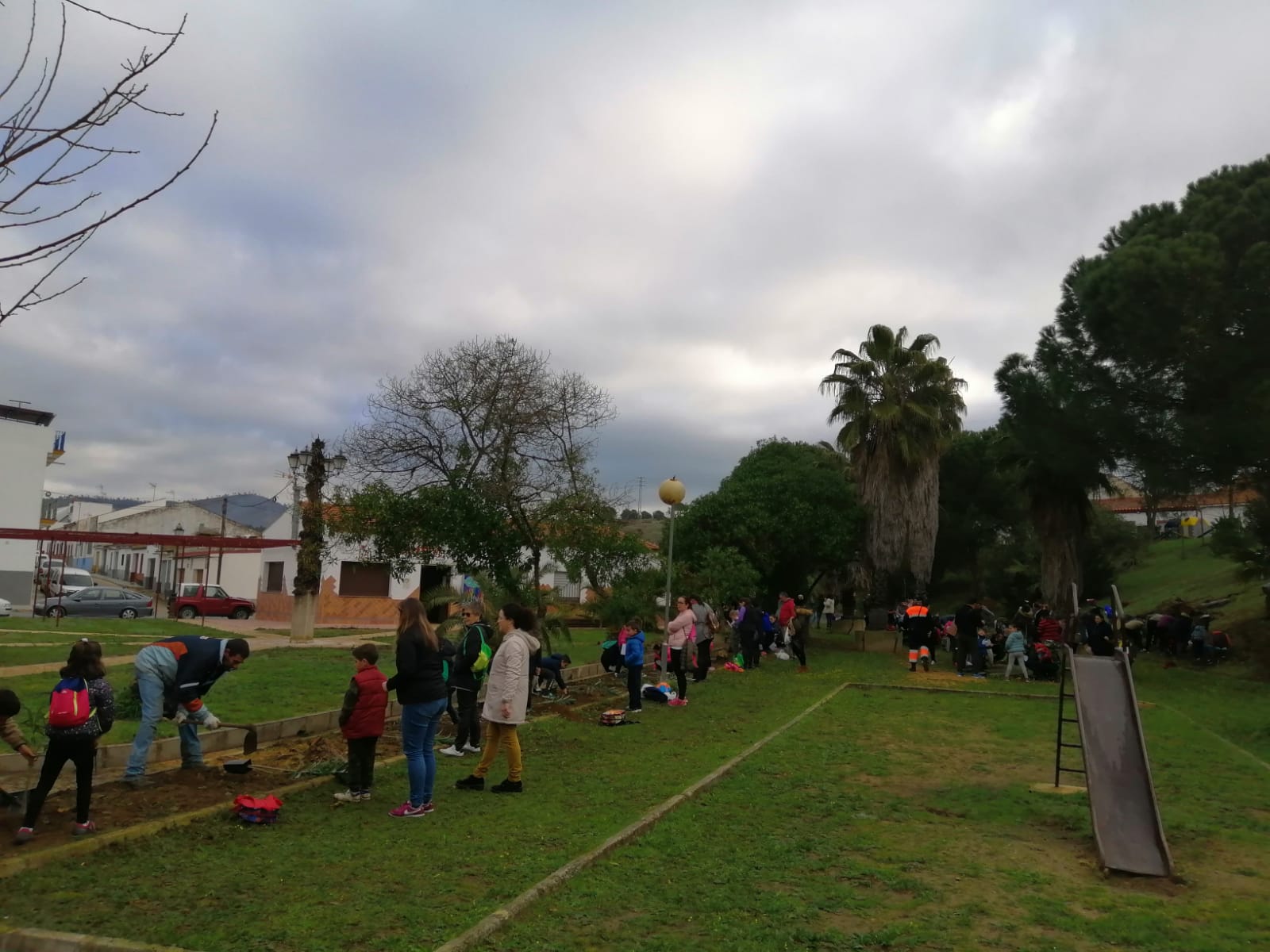 PLANTACIÓN ÁRBOLES EN NERVA 2020 DOS