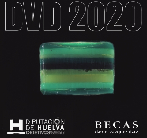 Imagen Becas DVD2020