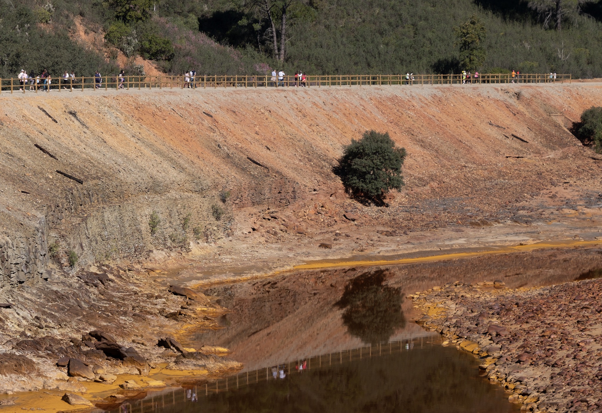 Camino-del-Tinto2