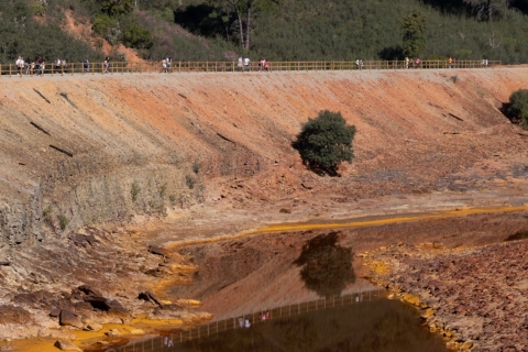 Camino-del-Tinto2