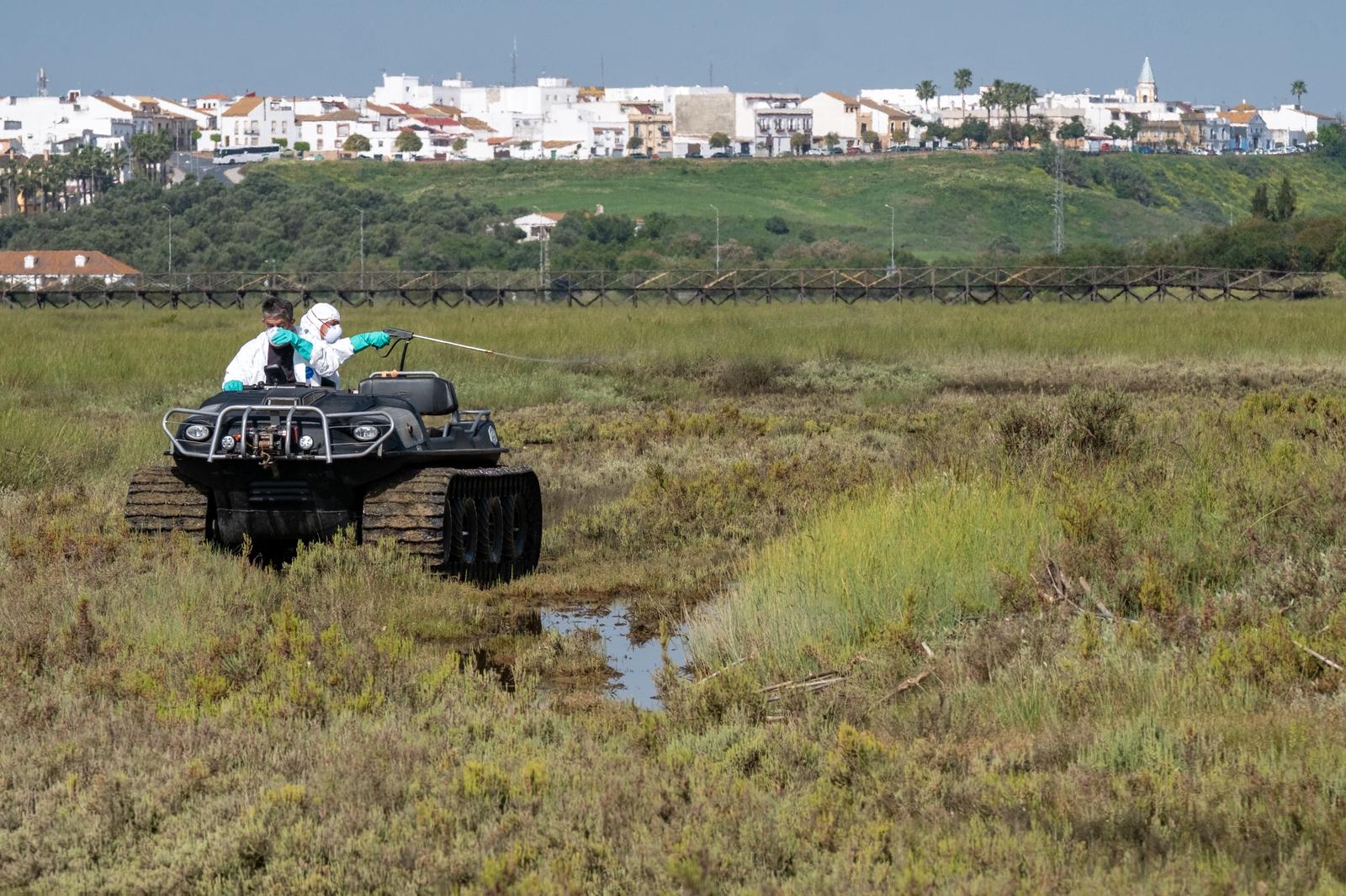 Anfibio Mosquitos 2026-04-108