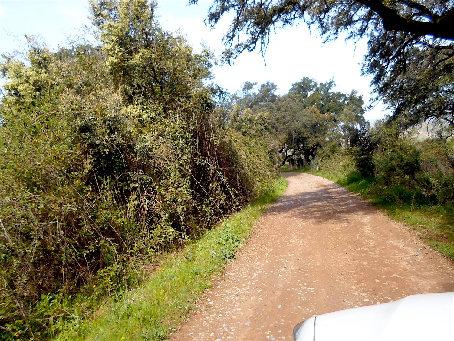 HIGUERA DE LA SIERRA