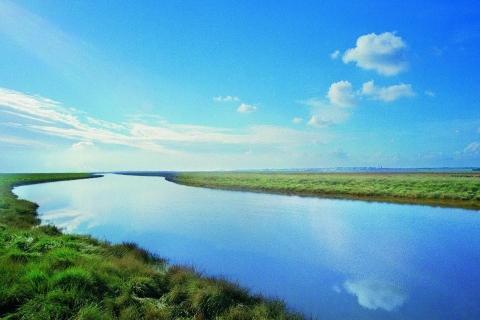 Naturaleza - Marismas del Odiel