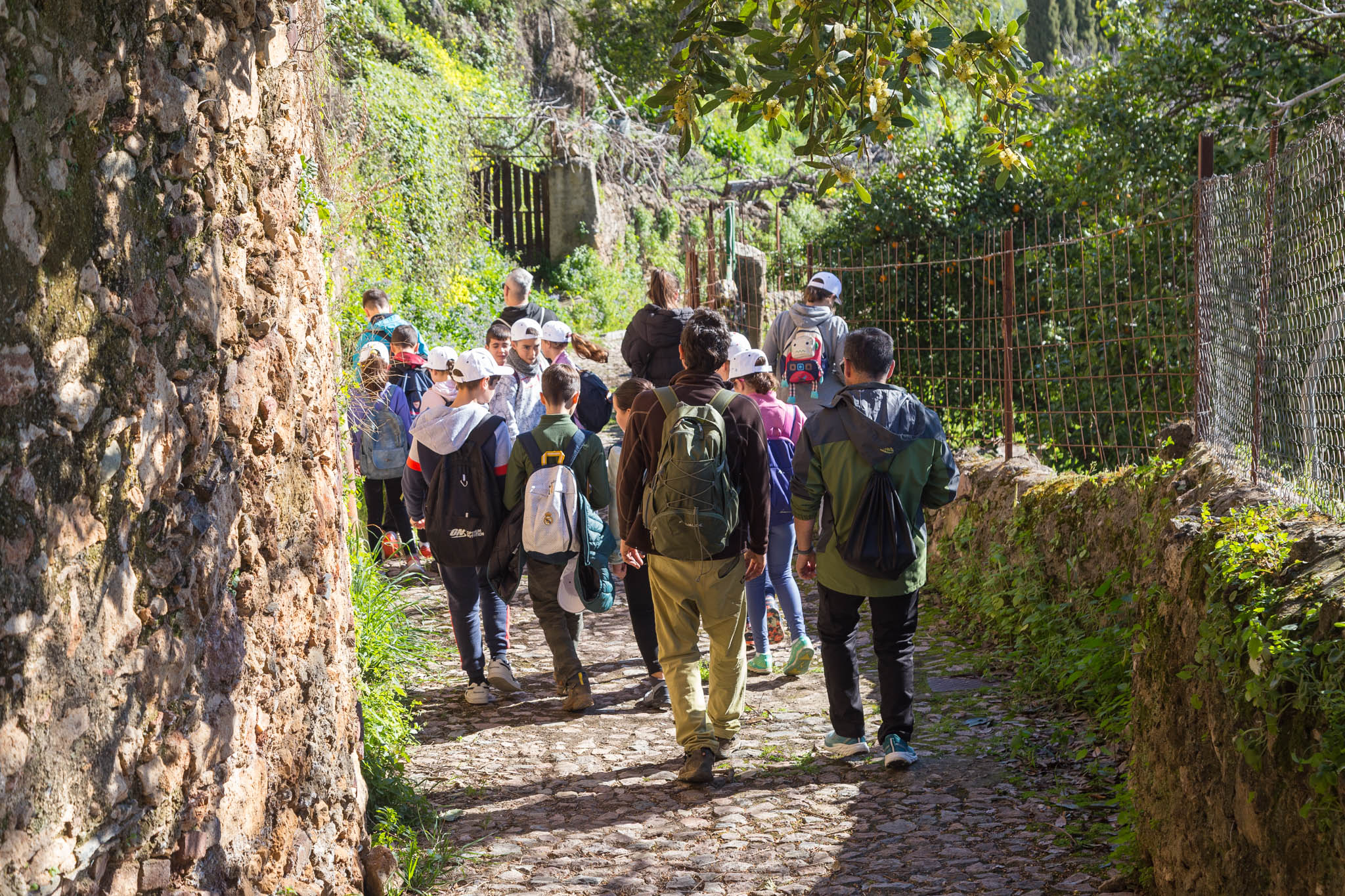 Actividad Geoescuela en Zufre - proyecto  Geoparque-22