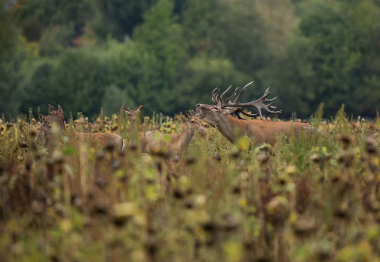 Captura de Pantalla 2025-12-15 a las 12.17.37
