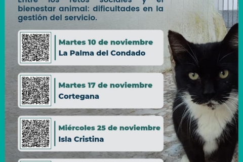 III Jornada formativa Ayuntamientos_cartel