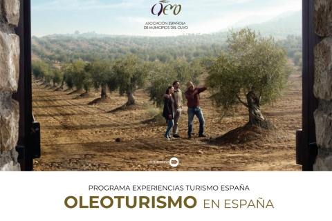 RUTAS DE OLEOTURISMO EN ESPAÑA