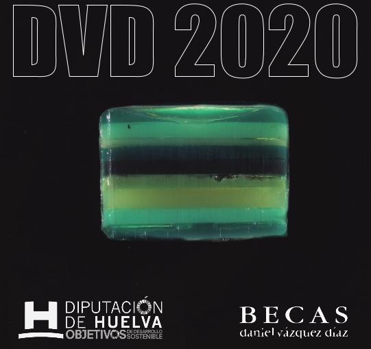 Imagen Becas DVD2020