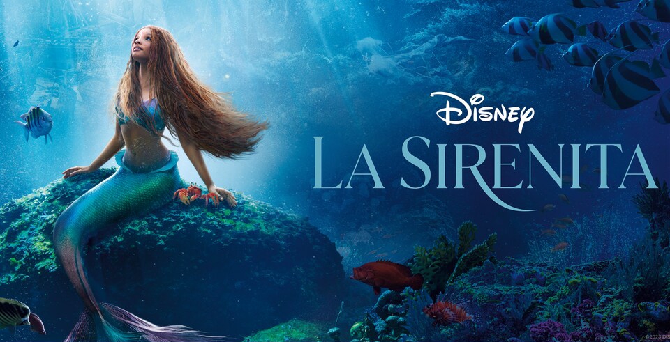 LA_SIRENITA