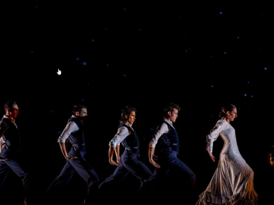 Naturalmente flamenco4