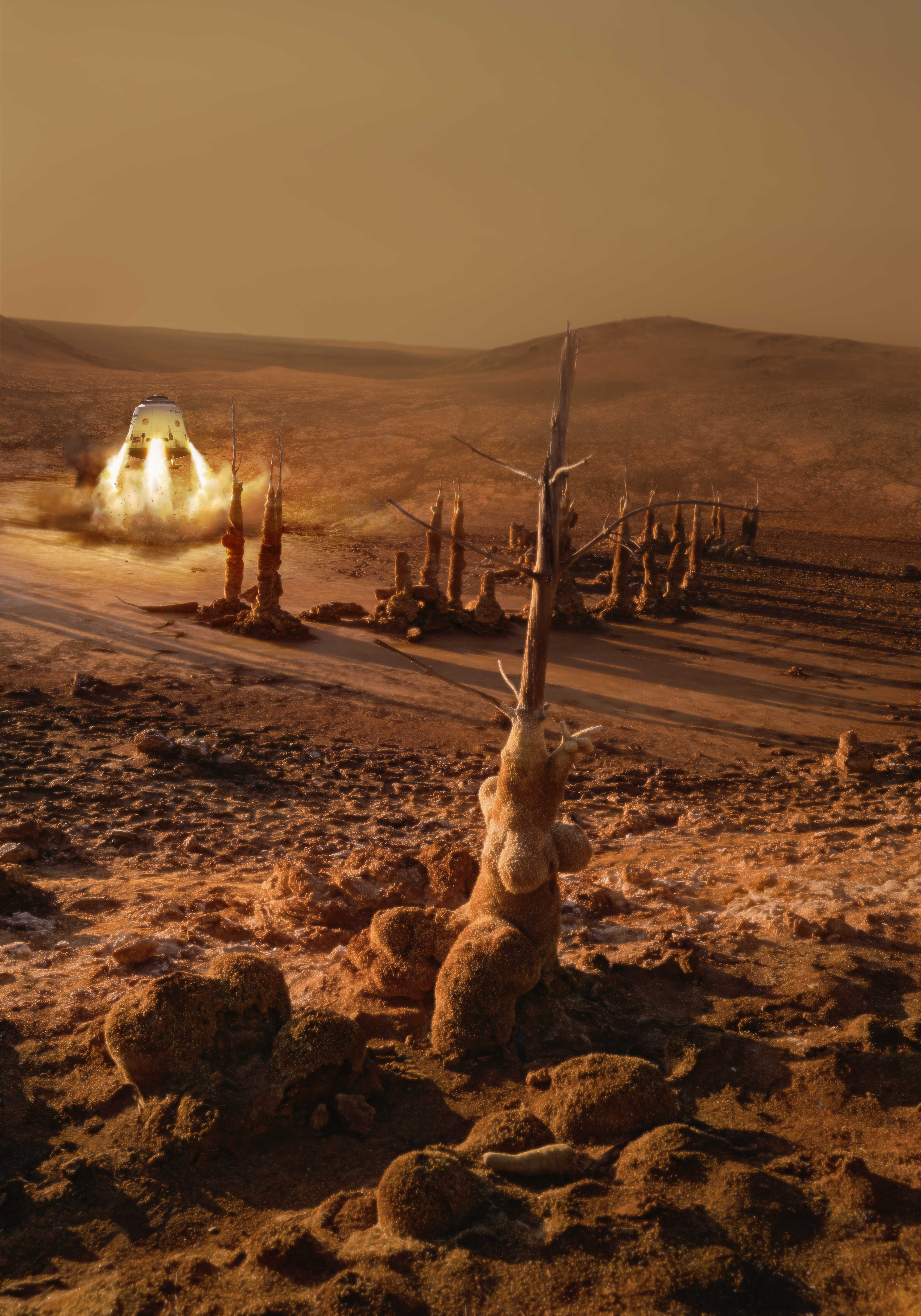 Despegue de la nave Trocha 13 desde la meseta nervense