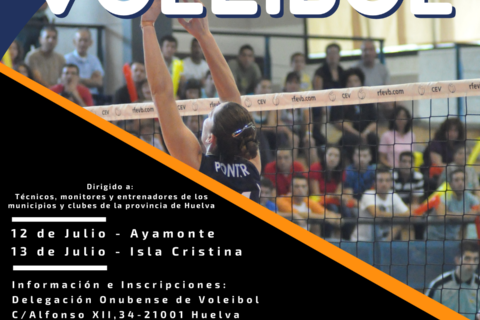 Clinic Voleibol