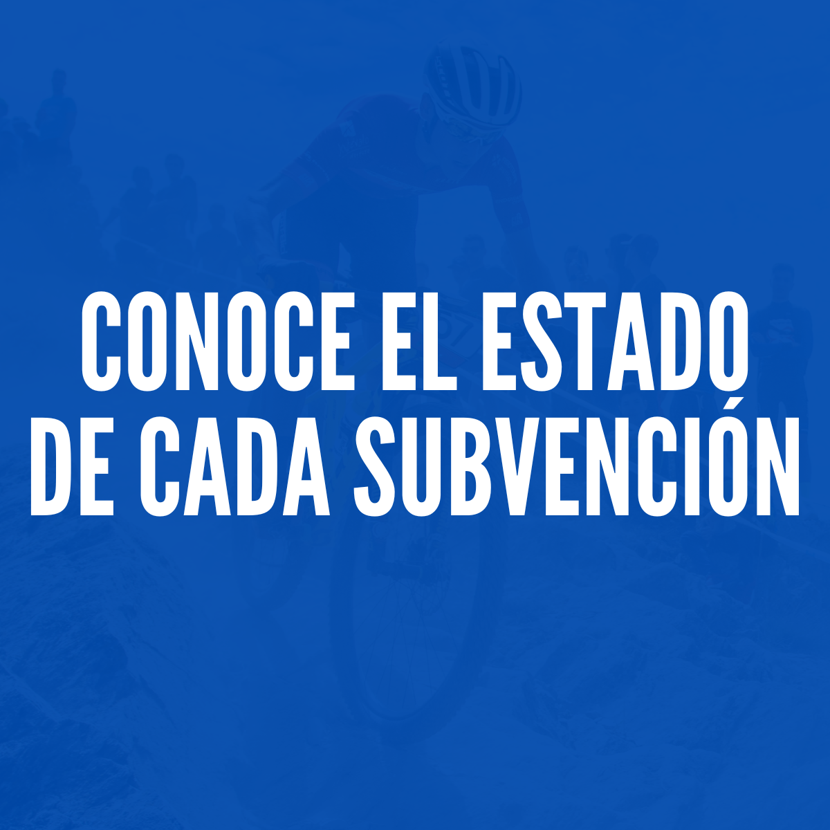 ESTADO SUBVENCIONES
