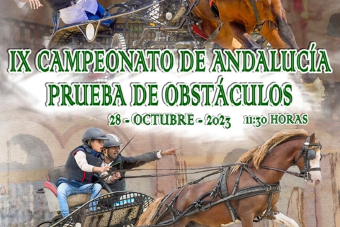 IX Cto Andalucia Prueba Obstaculos Hipica 2023