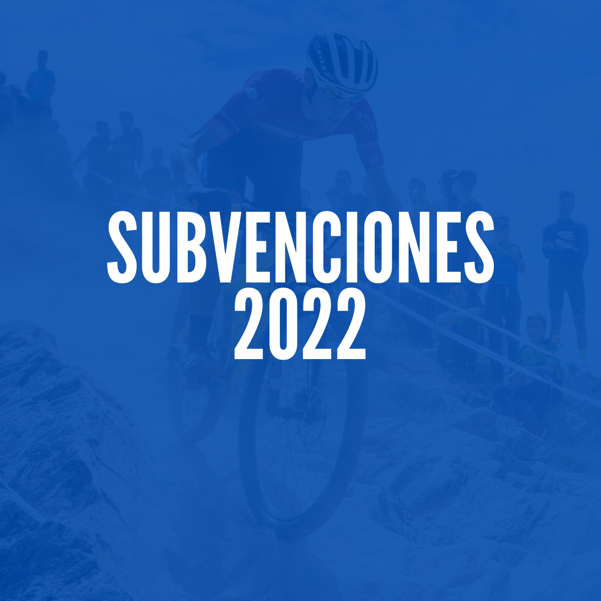 SUBVENCIONES CONCERTACION 22