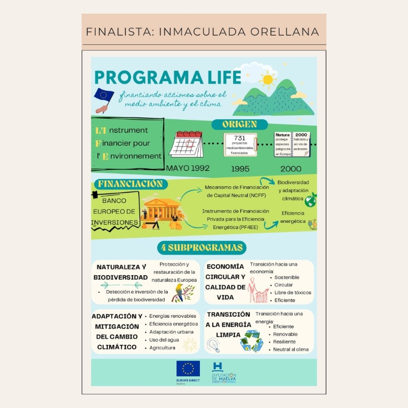 Infografía finalista