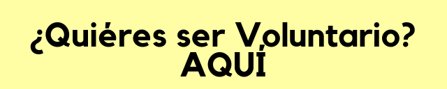 VOLUNTARIADO2