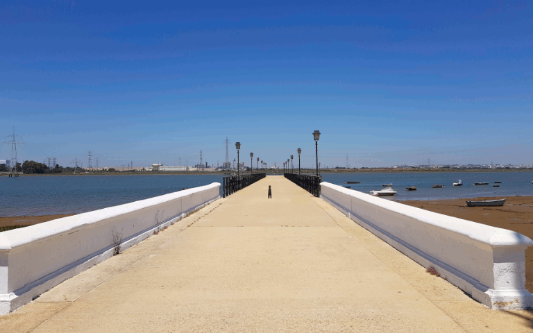 muelle