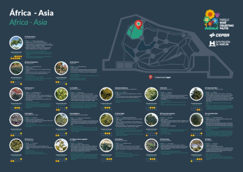 África-Asia