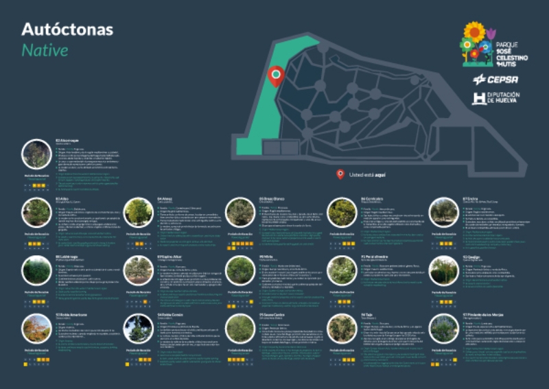 Autóctonas