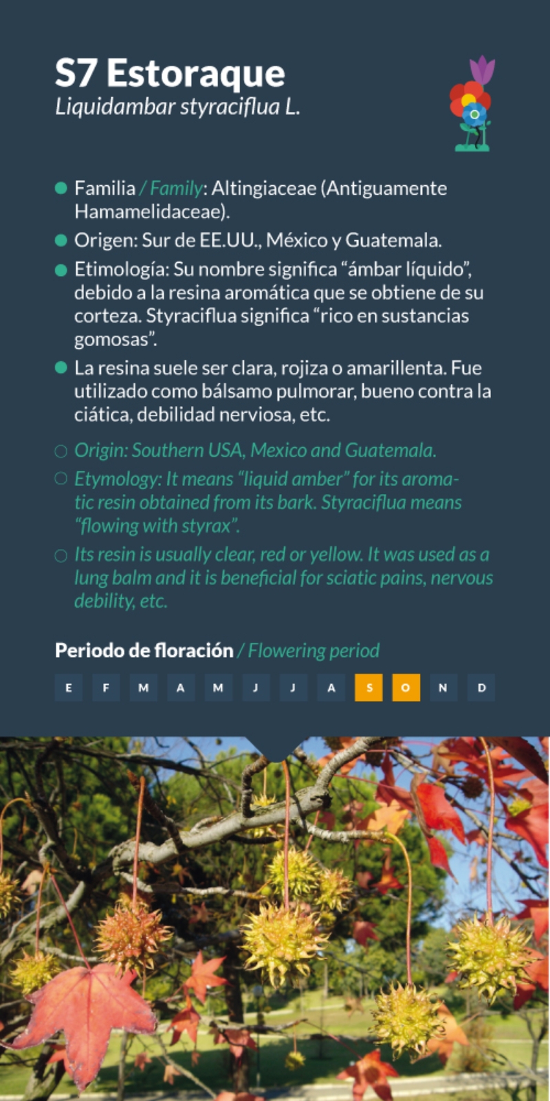 Estoraque