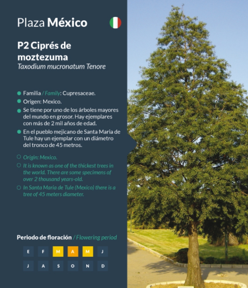 México
