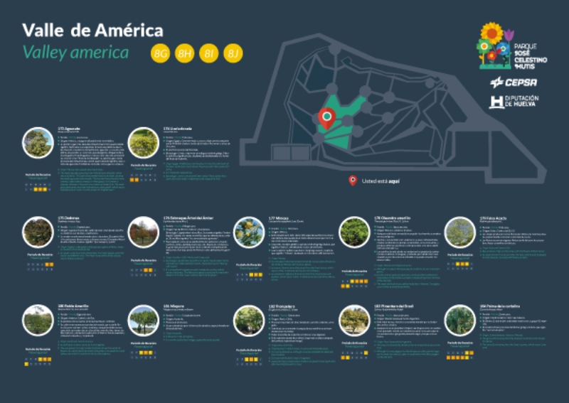 Valle América (8g-h-i)