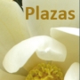 Plazas