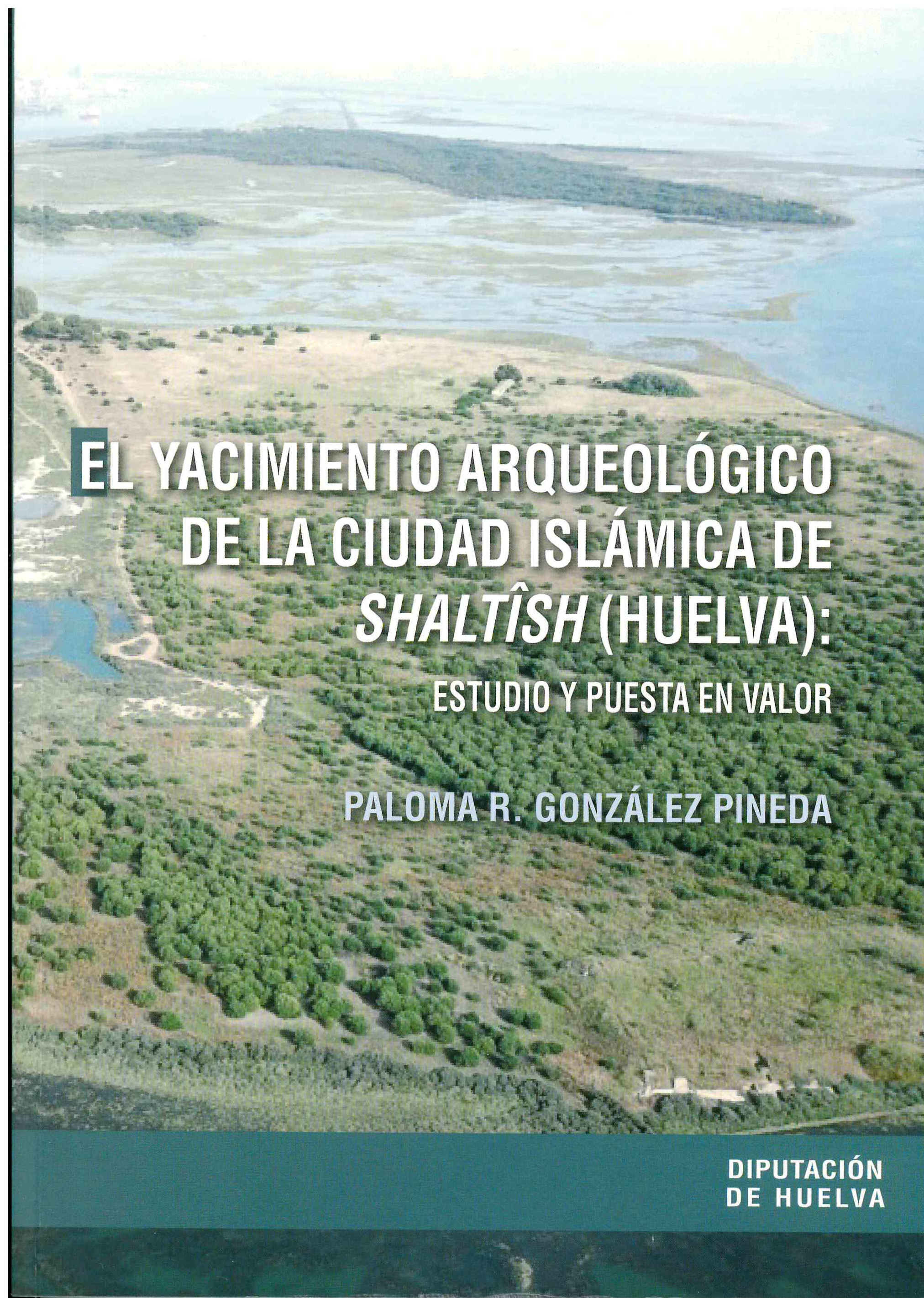 EL YACIMIENTO ARQUOELÓGICO DE LA CIUDAD ISLÁMICA