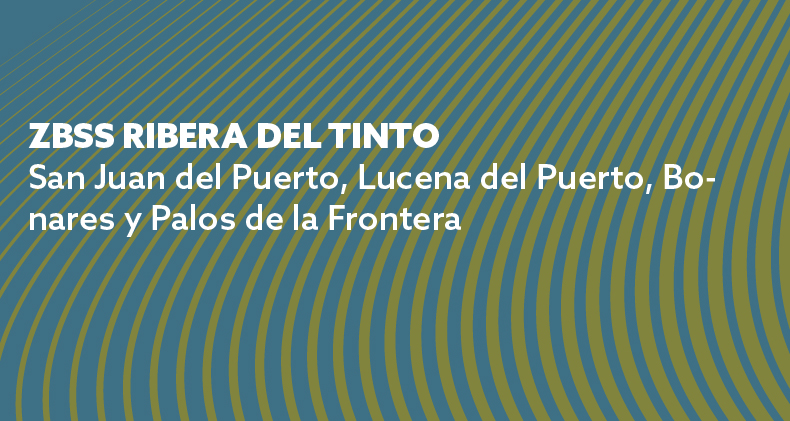 APPTREVETE RIBERA DEL TINTO